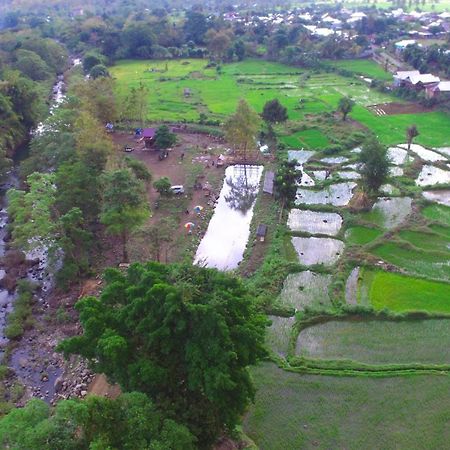 Tiu Batu Homestay Alas Bagian luar foto