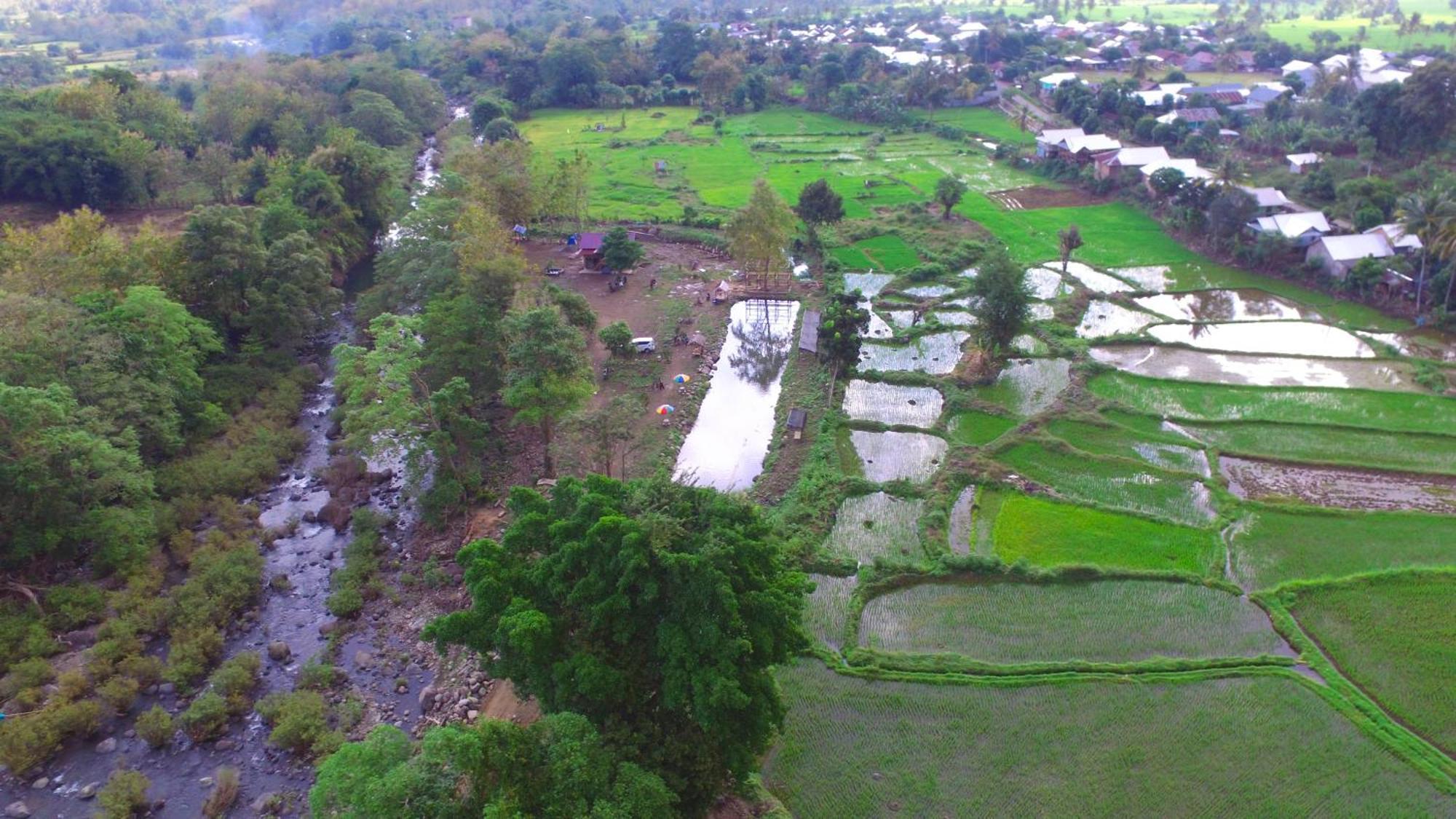 Tiu Batu Homestay Alas Bagian luar foto