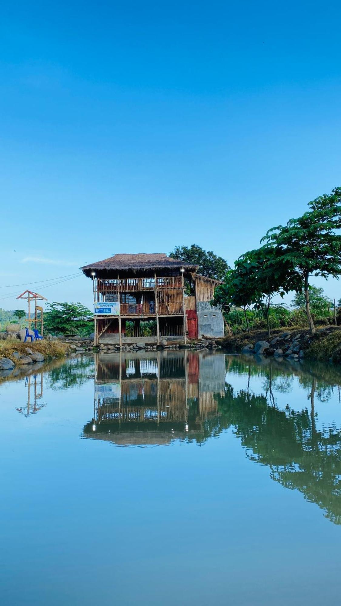 Tiu Batu Homestay Alas Bagian luar foto