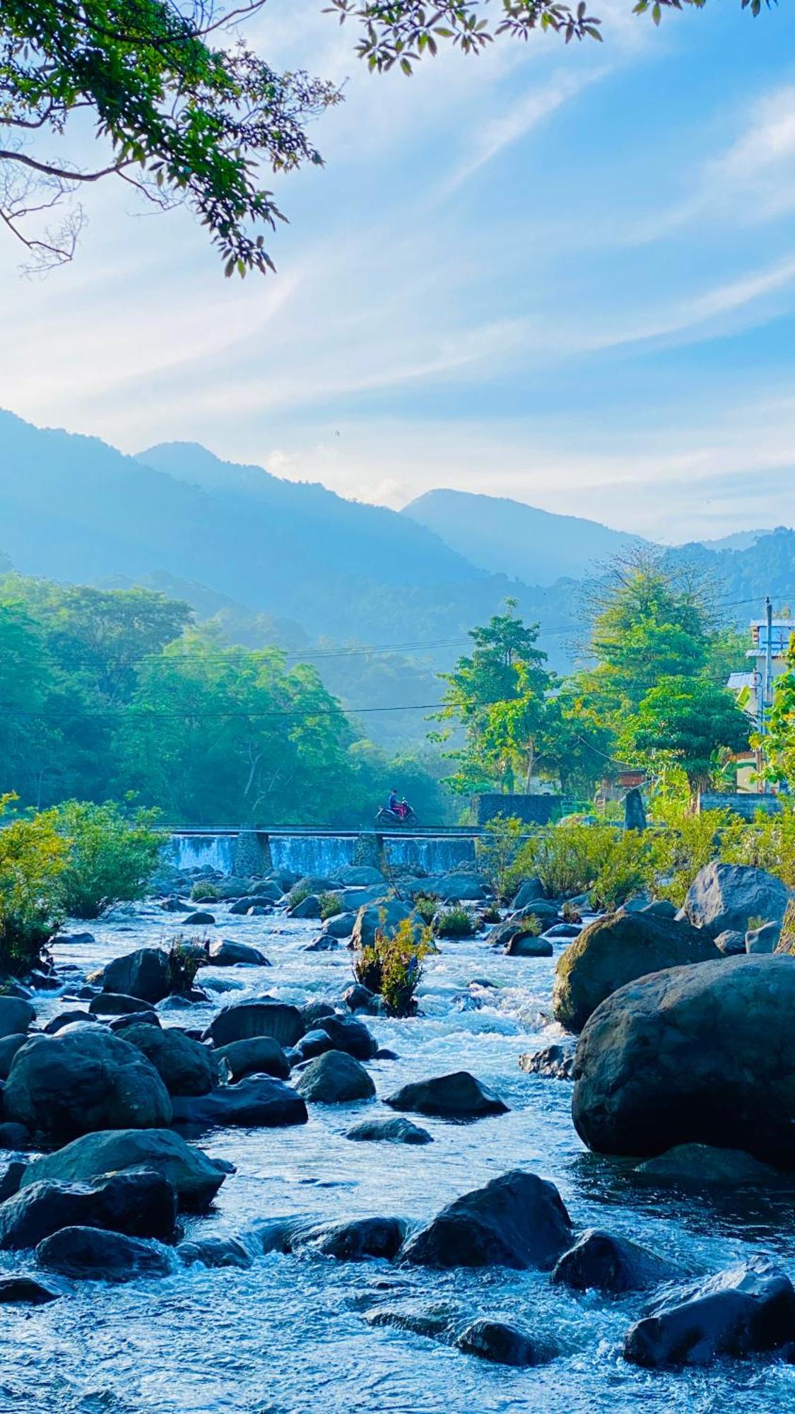 Tiu Batu Homestay Alas Bagian luar foto