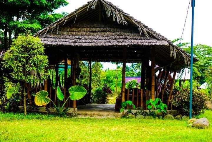 Tiu Batu Homestay Alas Bagian luar foto
