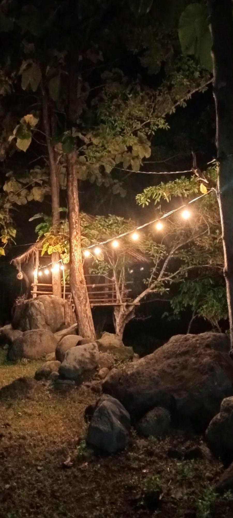 Tiu Batu Homestay Alas Bagian luar foto